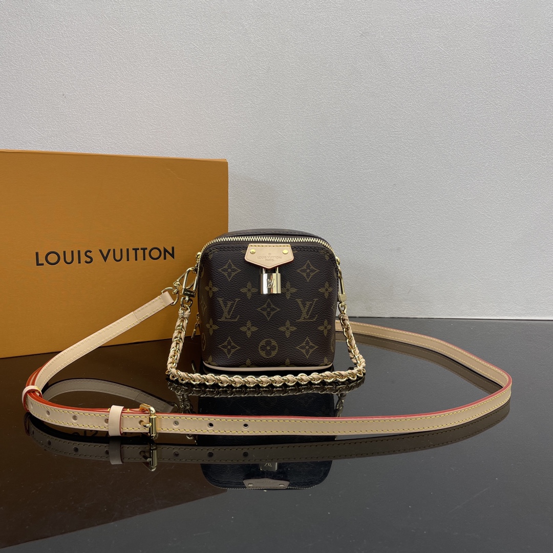 Louis Vuitton Satchel Bags